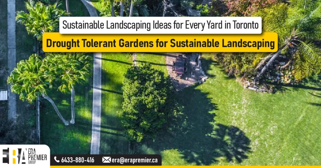 3️⃣ Drought Tolerant Gardens for Sustainable Landscaping