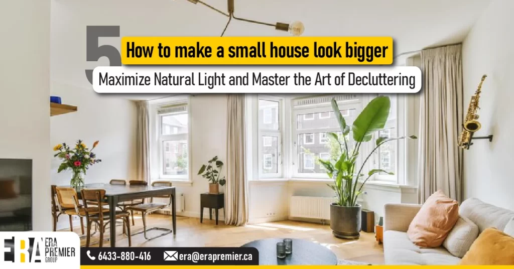 💡 Maximize Natural Light and Master the Art of Decluttering